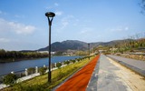 _MG_3765.jpg