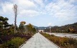 _MG_3782.jpg