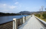 _MG_3761.jpg