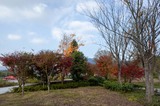 _MG_3797.jpg