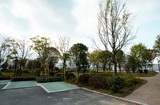_MG_3804.jpg